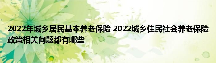 2022年城乡居民基本养老保险 2022城乡住民社会养老保险政策相关问题都有哪些