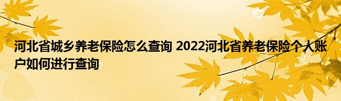 河北省城乡养老保险怎么查询 2022河北省养老保险个人账户如何进行查询