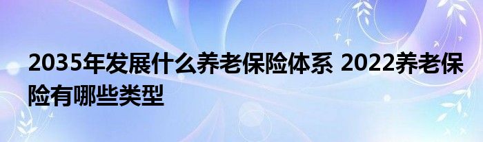 2035年发展什么养老保险体系 2022养老保险有哪些类型