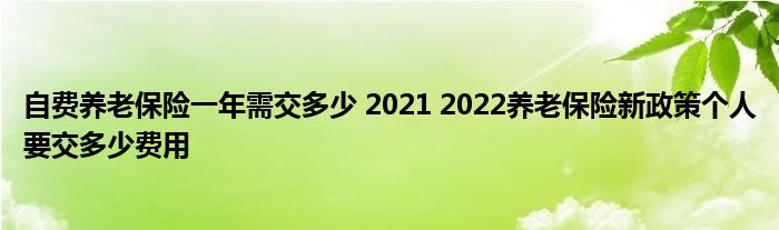 自费养老保险一年需交多少 2021 2022养老保险新政策个人要交多少费用