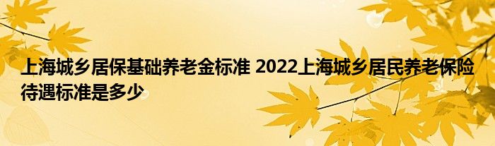 上海城乡居保基础养老金标准 2022上海城乡居民养老保险待遇标准是多少