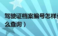 驾驶证档案编号怎样查询（驾驶证档案编号怎么查询）