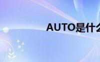 AUTO是什么意思车上的