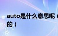 auto是什么意思呢（AUTO是什么意思车上的）