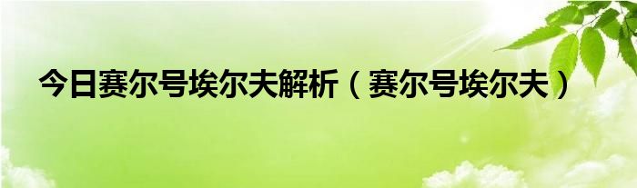 今日赛尔号埃尔夫解析（赛尔号埃尔夫）