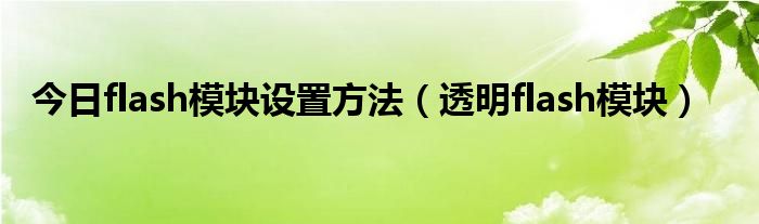 今日flash模块设置方法（透明flash模块）