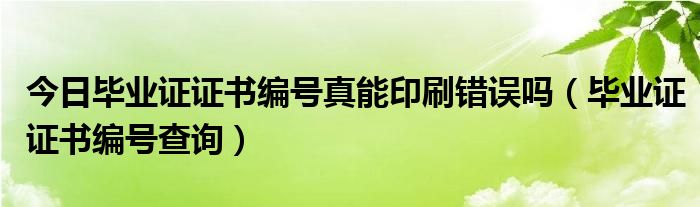 今日毕业证证书编号真能印刷错误吗（毕业证证书编号查询）