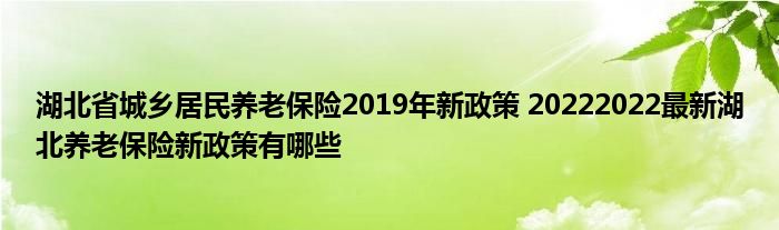 湖北省城乡居民养老保险2019年新政策 20222022最新湖北养老保险新政策有哪些