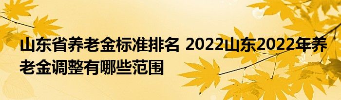 山东省养老金标准排名 2022山东2022年养老金调整有哪些范围