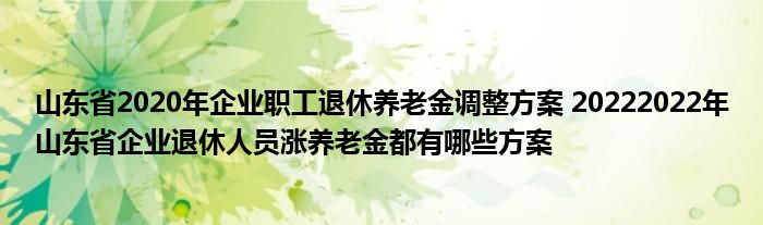 山东省2020年企业职工退休养老金调整方案 20222022年山东省企业退休人员涨养老金都有哪些方案