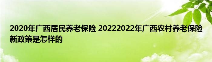 2020年广西居民养老保险 20222022年广西农村养老保险新政策是怎样的