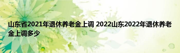 山东省2021年退休养老金上调 2022山东2022年退休养老金上调多少