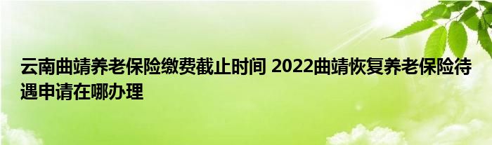 云南曲靖养老保险缴费截止时间 2022曲靖恢复养老保险待遇申请在哪办理