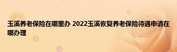 玉溪养老保险在哪里办 2022玉溪恢复养老保险待遇申请在哪办理