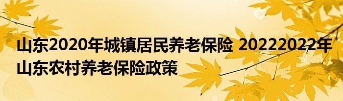 山东2020年城镇居民养老保险 20222022年山东农村养老保险政策