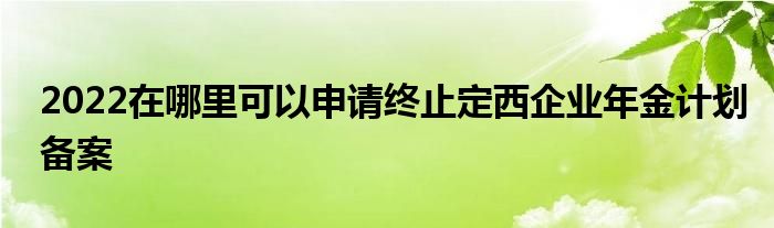 2022在哪里可以申请终止定西企业年金计划备案