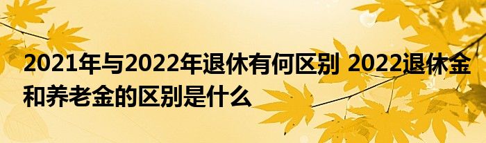 2021年与2022年退休有何区别 2022退休金和养老金的区别是什么