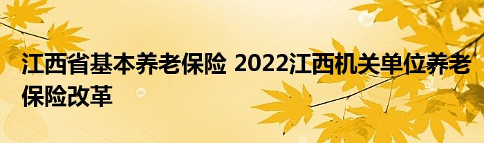 江西省基本养老保险 2022江西机关单位养老保险改革