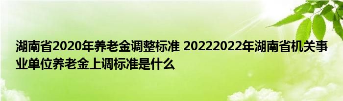 湖南省2020年养老金调整标准 20222022年湖南省机关事业单位养老金上调标准是什么