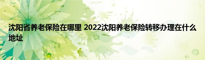 沈阳省养老保险在哪里 2022沈阳养老保险转移办理在什么地址