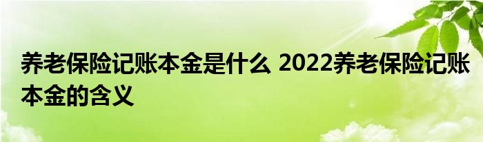 养老保险记账本金是什么 2022养老保险记账本金的含义