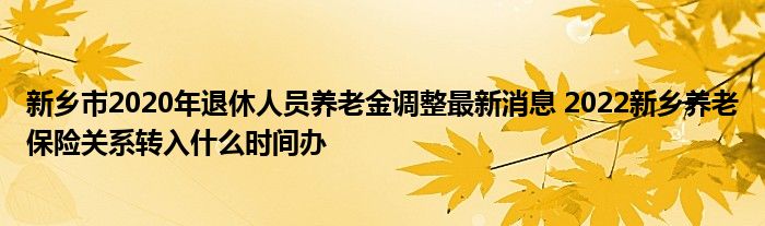 新乡市2020年退休人员养老金调整最新消息 2022新乡养老保险关系转入什么时间办