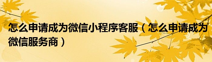 怎么申请成为微信小程序客服（怎么申请成为微信服务商）