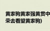 黄家驹黄家强黄贯中叶世荣图片(黄贯中叶世荣去看望黄家驹)