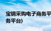 宝钢采购电子商务平台官网(宝钢采购电子商务平台)