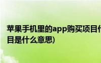 苹果手机里的app购买项目什么意思(苹果手机app内购买项目是什么意思)