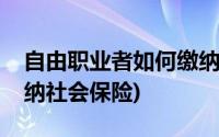 自由职业者如何缴纳社保(自由职业者如何缴纳社会保险)