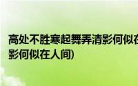 高处不胜寒起舞弄清影何似在人间意思(高处不胜寒起舞弄清影何似在人间)