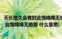 天长地久会有时此恨绵绵无绝期是什么意思(天长地久有时尽 此恨绵绵无绝期 什么意思)