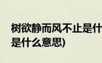 树欲静而风不止是什么意思(树欲静而风不止是什么意思)