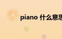 piano 什么意思(piano的复数)