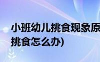 小班幼儿挑食现象原因及改进措施(小班幼儿挑食怎么办)