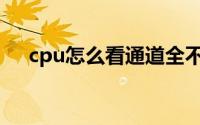 cpu怎么看通道全不全(cpu怎么看好坏)