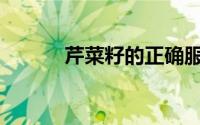 芹菜籽的正确服用方法(芹菜籽)