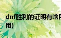 dnf胜利的证明有啥用(dnf胜利的证明有什么用)