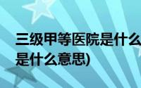 三级甲等医院是什么时候搞的(三级甲等医院是什么意思)