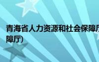 青海省人力资源和社会保障厅职称(青海省人力资源和社会保障厅)