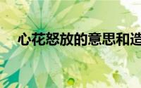 心花怒放的意思和造句(心花怒放的意思)