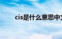 cis是什么意思中文(cis是什么意思)