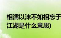 相濡以沫不如相忘于江湖是什么意思(相望于江湖是什么意思)