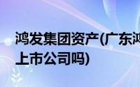 鸿发集团资产(广东鸿发投资集团有限公司是上市公司吗)