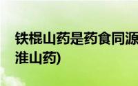 铁棍山药是药食同源的食品对吗(铁棍山药是淮山药)