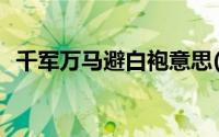 千军万马避白袍意思(千军万马避白袍全诗)