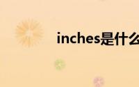 inches是什么单位(inches)