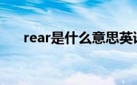 rear是什么意思英语(rear是什么意思)