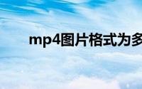 mp4图片格式为多少(mp4图片格式)